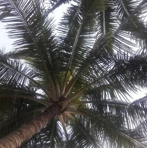 Meet your Posher, Jana